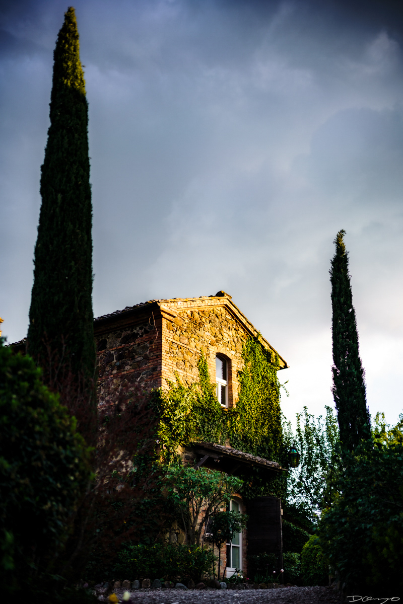 Photos from Rome, Venice, Florence, Tuscany, Manarola, Vernazza, Riomaggiore, Verona, Trento, and the Italian Alps in Spring of 2022.
